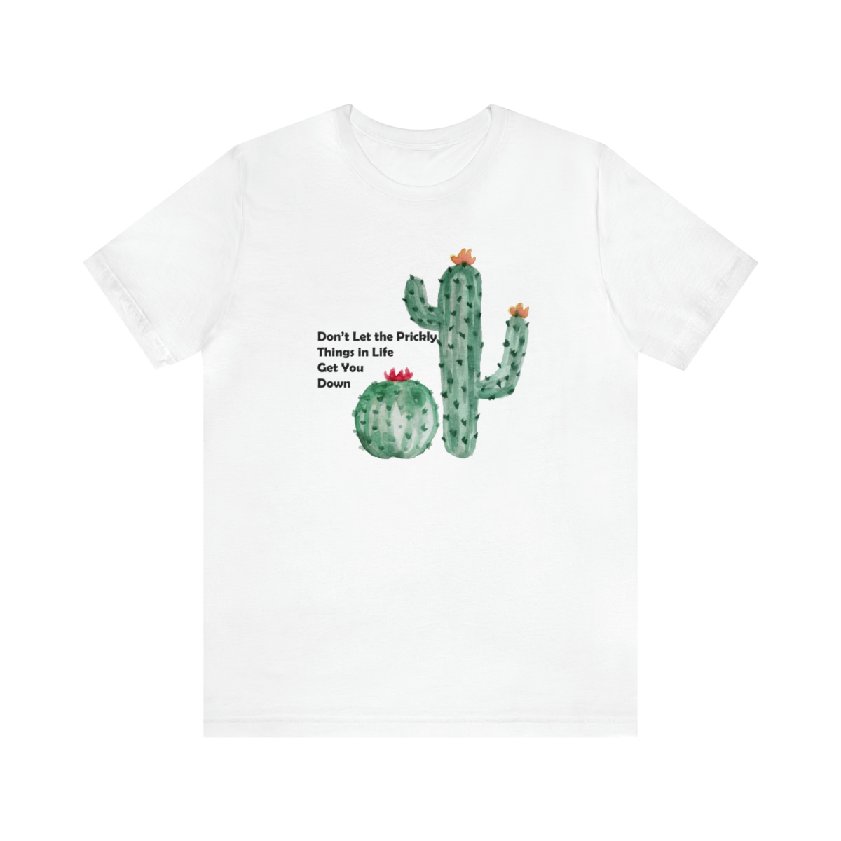 Cactus Love Dont let You Down